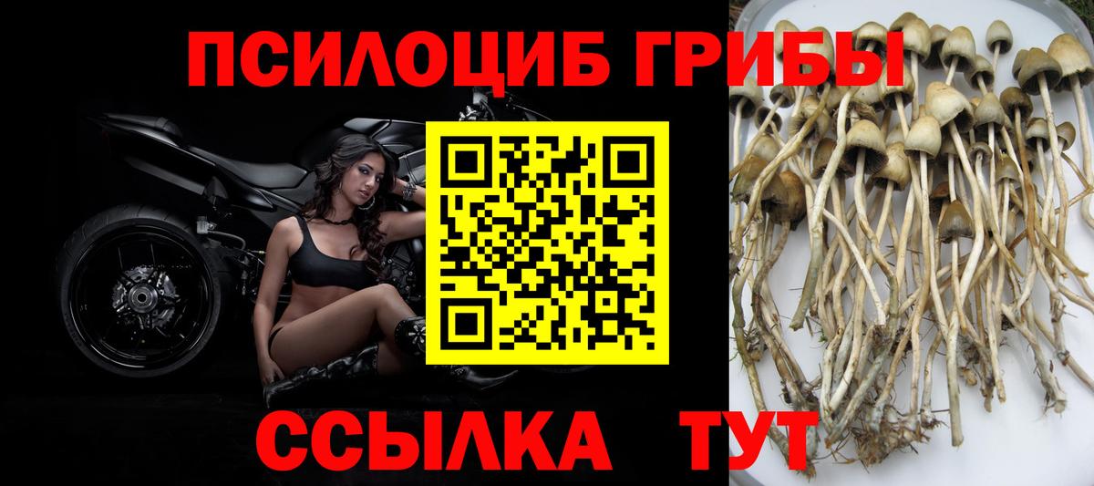 Псилоцибиновые грибы прущие грибы Стрежевой