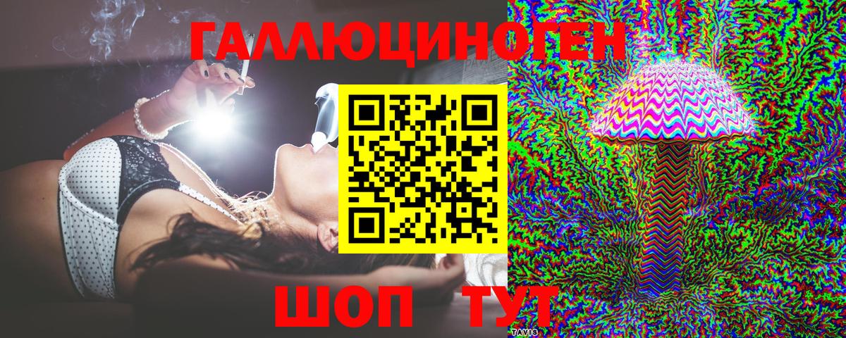 где найти   Галлюциногенные грибы Cubensis  Вход с VPN  Стрежевой 